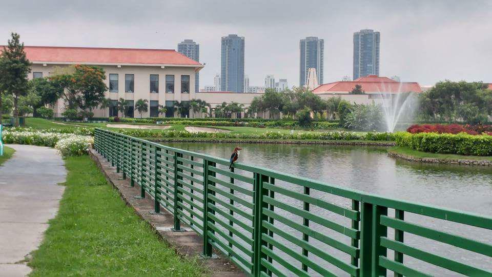 Property Dealer in Noida