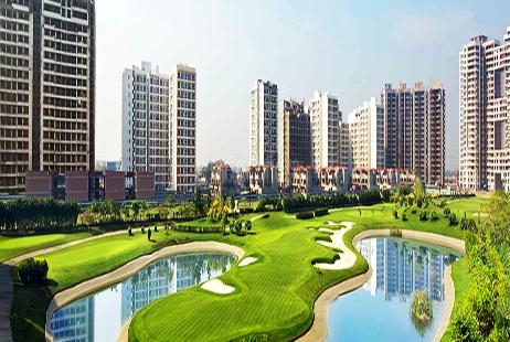 Property Dealer in Noida