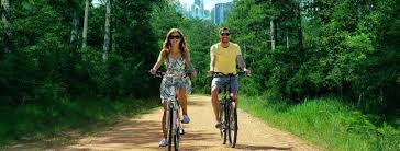 Property Dealer in Noida