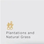 Property Dealer in Noida